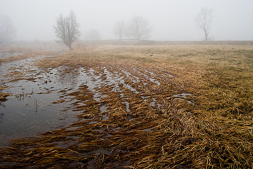 Wiosenne klimaty