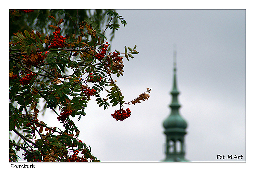 Frombork - wiea Katedry Wniebowzicia NMP i w. Andrzeja