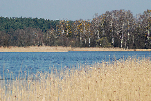 Widok na jezioro Wysokie Brodno. Okolice Żmijewa