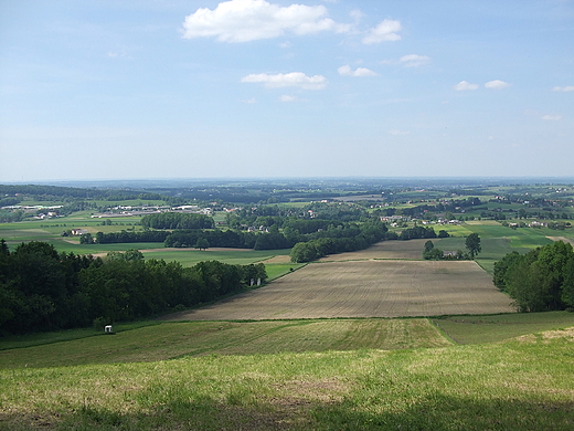 Goleszw