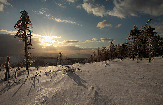 Ostatnie tchnienie zimy. Beskid lski