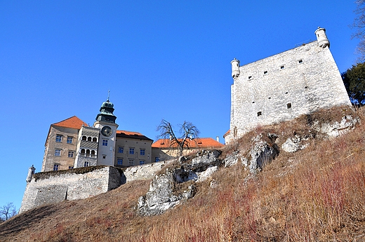Zamek w Ojcowskim Parku Narodowym