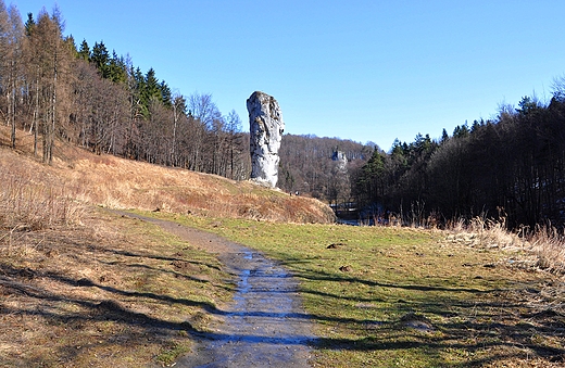 Maczuga w Pieskowej Skale