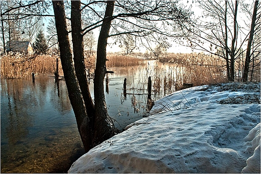 Czarna Hacza w Magdalenowie.