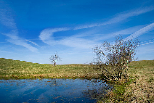 Wiosna na Suwalszczynie