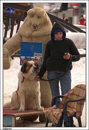 Zakopane - ul.Krupwki_ fotka z pieskiem