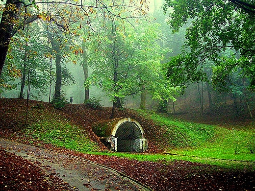 Park w Przemylu jesieni