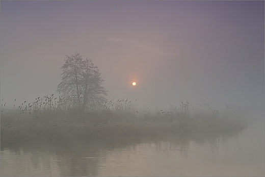 Poranek nad Nid