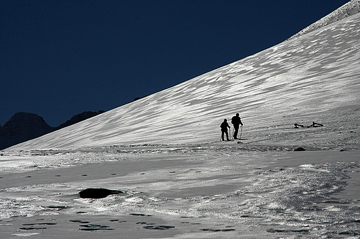 Tatry, szlak z Rusinowej Polany na Gsi Szyj