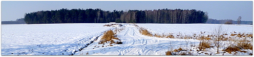 podlaski krajobraz zim