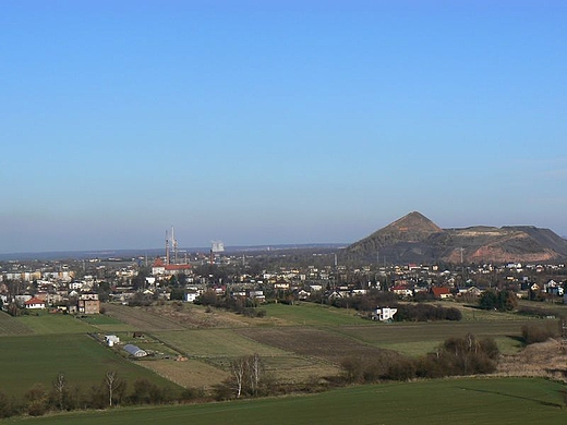 Rydutowy