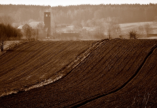 Suchowola, widok na pola