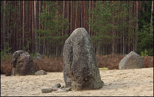 Kamienne Krgi Grzybnica