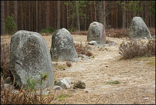 Kamienne Krgi Grzybnica