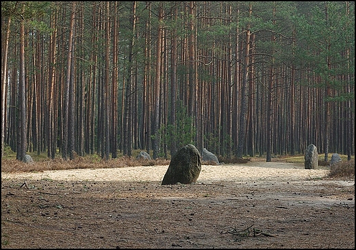 Kamienne Krgi Grzybnica