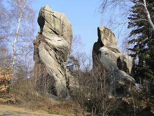 Rezerwat Przdki w Czarnorzekach