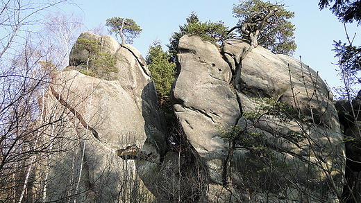 Rezerwat Przdki w Czarnorzekach