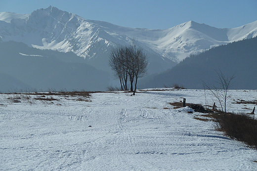 Pod soce. Widok z Antawki