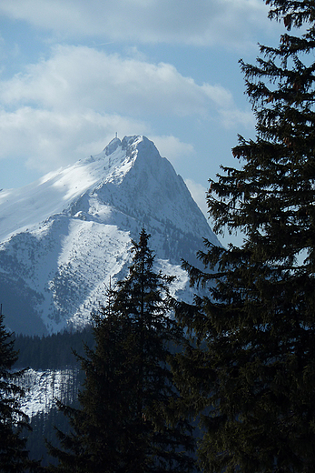 Giewont z Hali pod Kopiecem