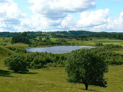 Widok na wytopiskowe jezioro Linwek