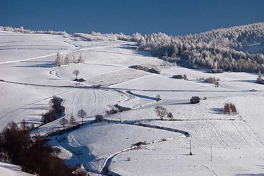 Poudniowy stok gry Grzywackiej - 567m n.p.m.