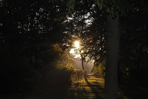 Park im Jana Pawa II