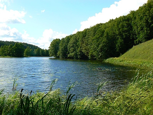 Jeziorko zaporowe na Czarnej Haczy