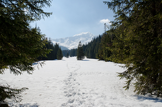 Widok na Bystr z Hali Ornak