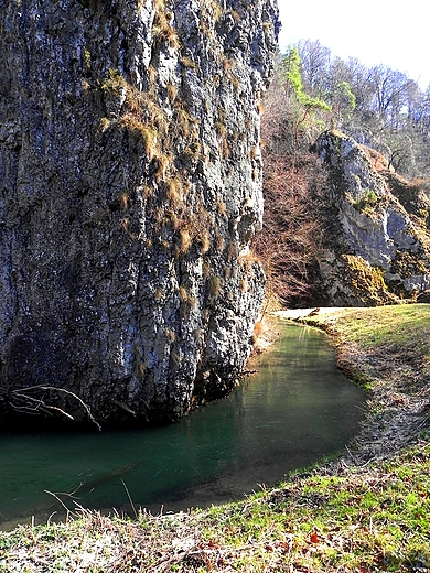 Wiosna w Ojcowskim Parku