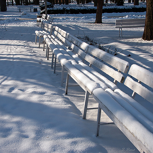 Park Zdrojowy