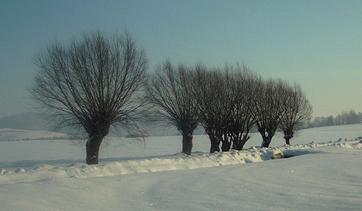 Zima2012.
