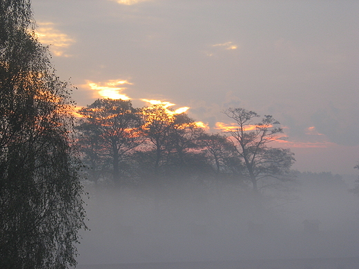 Rybnik -Stodoy-widok z drogi