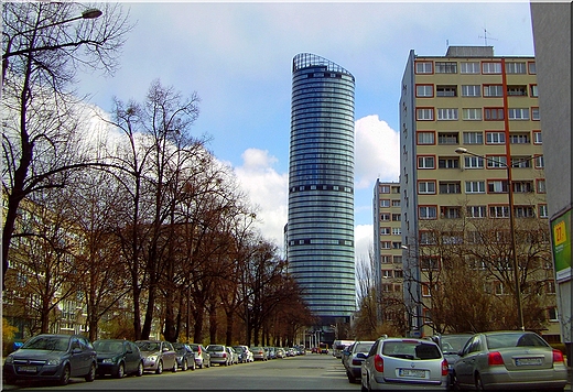 Sky Tower widziany z ul. Kruczej