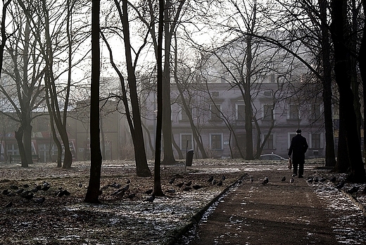 Mysowice - Park Zamkowy