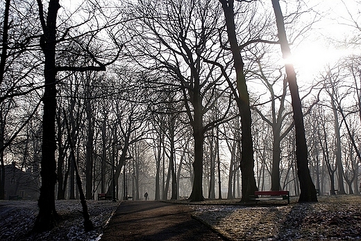 Mysowice - Park Zamkowy