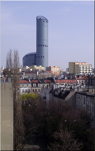 Sky Tower widziany z mojego dachu...