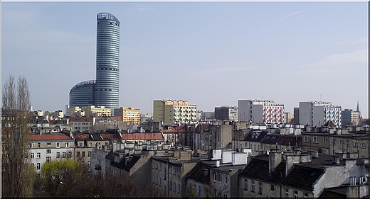 Sky Tower widziany z mojego dachu...