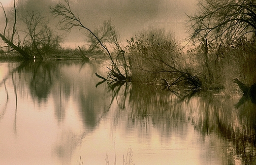 Rzeka Liwiec , Wgrw