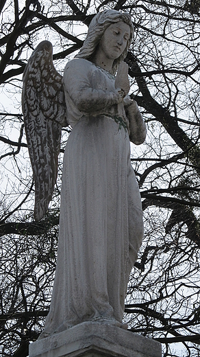 Pilchowicki anio