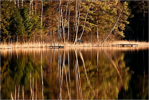 Nad jeziorem Kolenym.