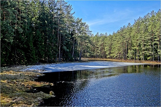 Widok z wiaty nad Sucharem IV.