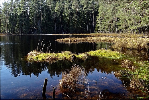 Suchar IV w Wigierskim Parku Narodowym.