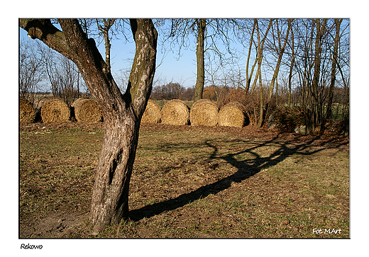 Rekowo - opowieci z podwrka