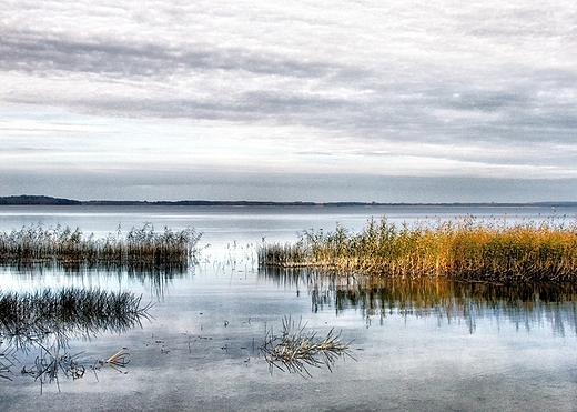 Mazury