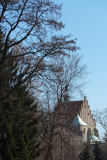 Szydowiec - koci farny