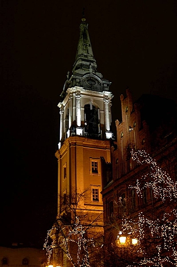 TORU RYNEK