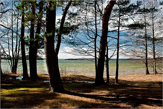 Jezioro Wigry - Zatoka Piaski.