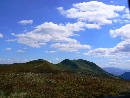 Tarnica z Szerokiego Wierchu