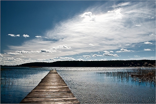 Jezioro Wigry w Rosochatym Rogu.
