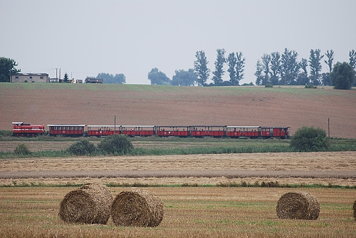 PAŁUCKIE KLIMATY